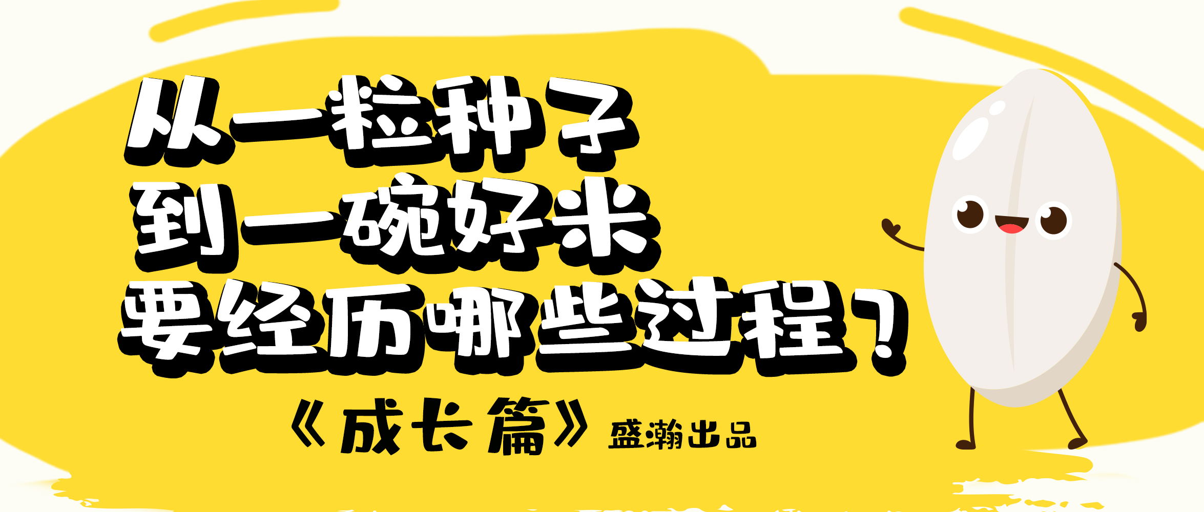 大米的一生-成長篇 | 從一粒種子到一碗好米要經(jīng)歷哪些過程？